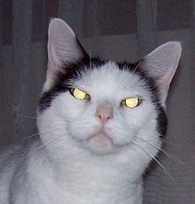 Sophie sends Cheers!